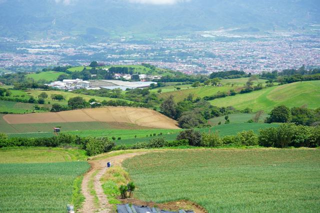 Vista del valle: sembradíos verdes y un camino de tierra en primer plano, la ciudad y montañas al fondo.