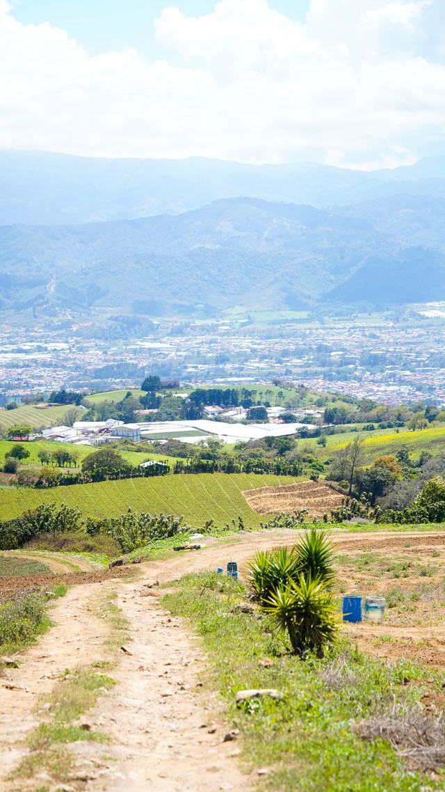 Camino de tierra que baja entre potreros hacia el valle, con la ciudad y las montañas al fondo.